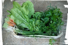 11667332_1020811907943639_2196320766792037689_n