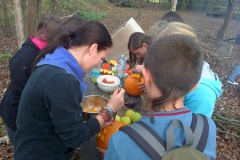IMG-20131026-00481