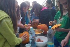 IMG-20131026-00486