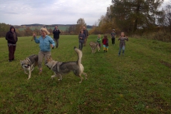 IMG-20131027-00502