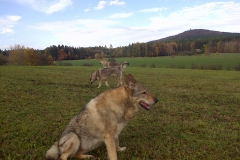 IMG-20131027-00521