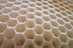 531282_457970247561144_1762926427_n