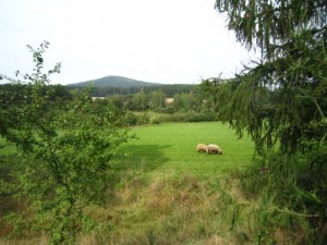 img_3735